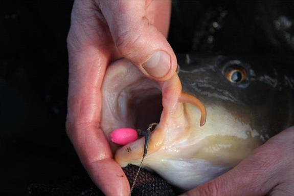 Montura cu Line Aligner. Cum se foloseste si la ce ajuta?